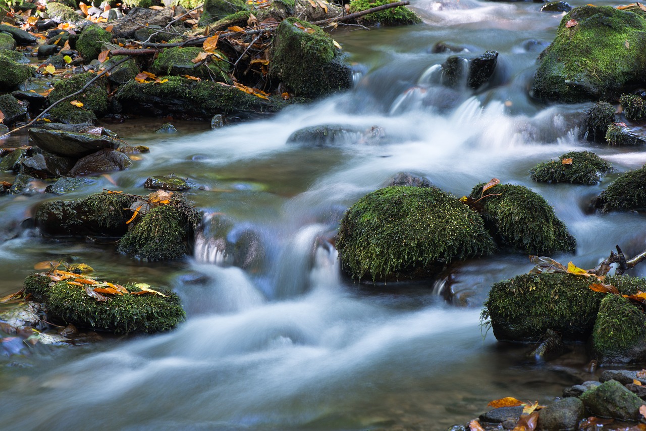 badínsky forest mountain water free photo