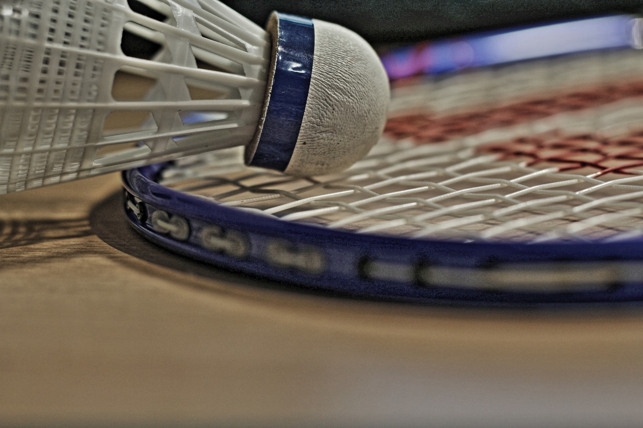 badminton bat sport free photo