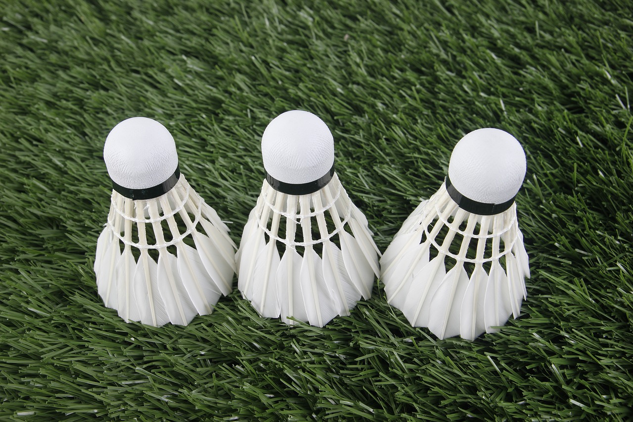 badminton sport shuttlecock free photo