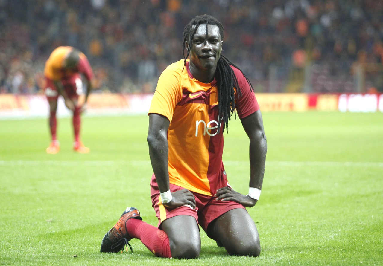 bafetimbi gomis galatasaray lion free photo