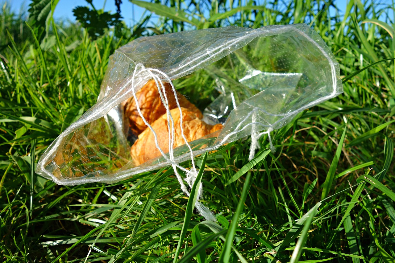 croissant roll bread free photo