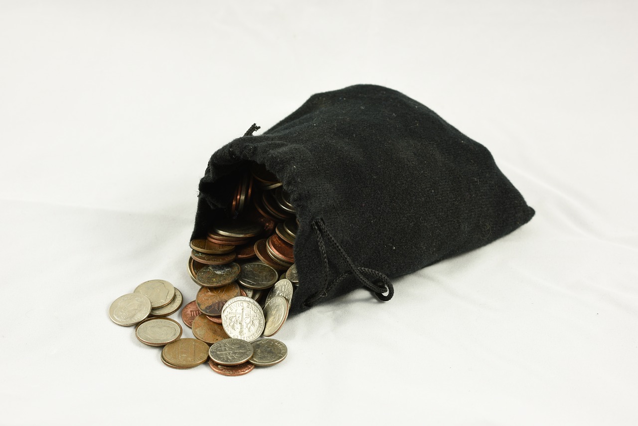 bag of coins coin purse money free photo