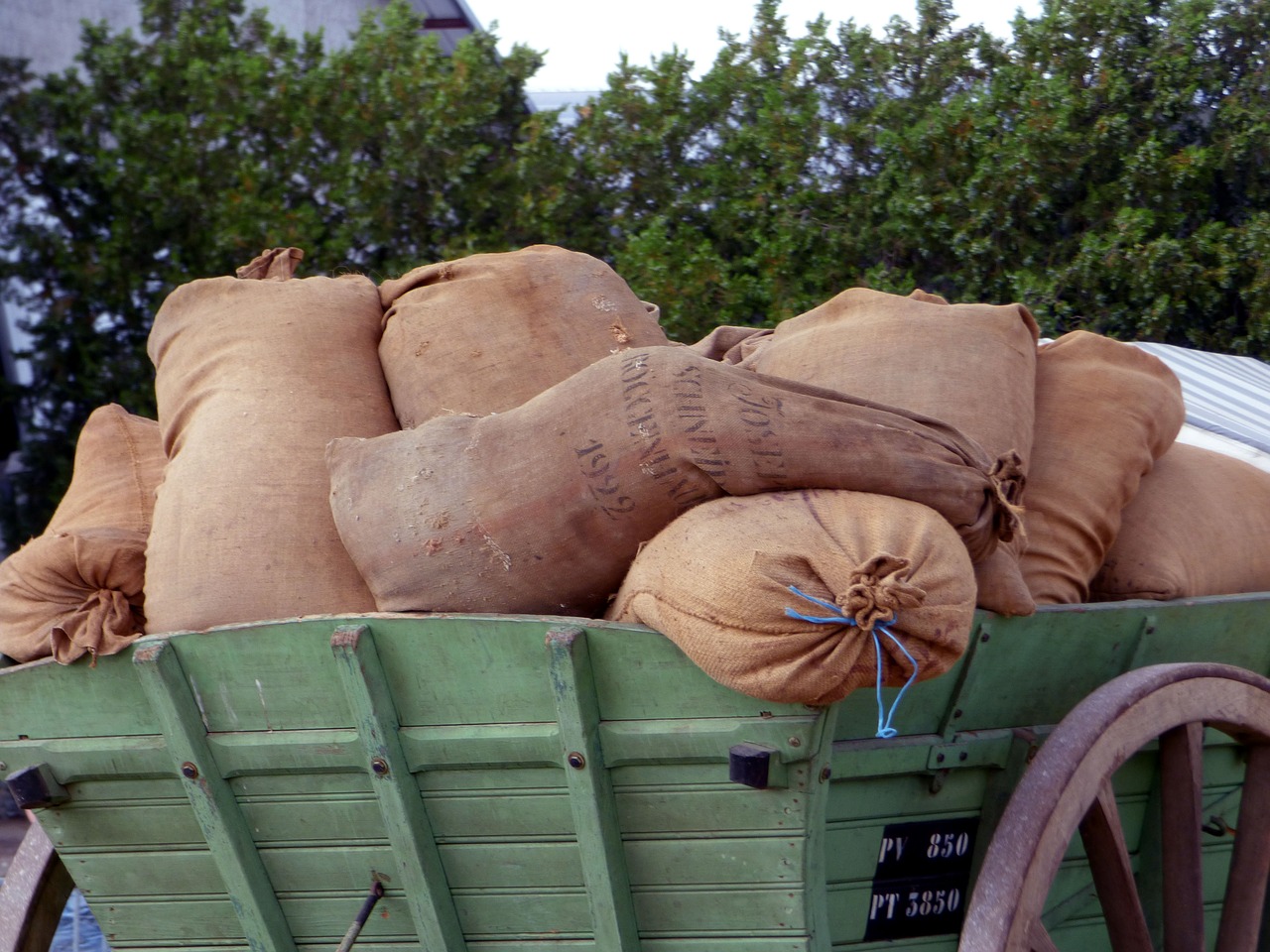 bags  cart  wheel free photo