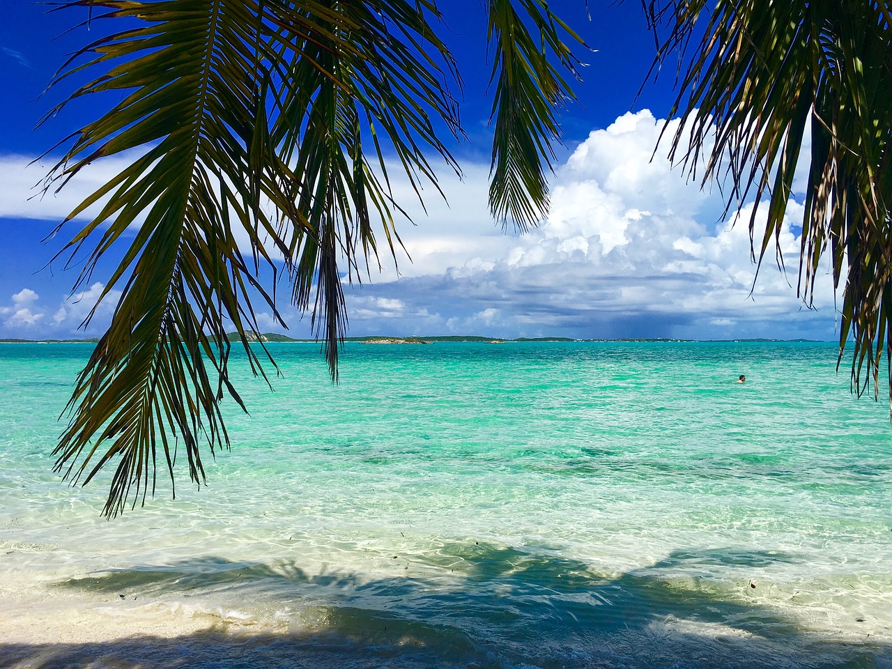 bahamas beach caribbean free photo