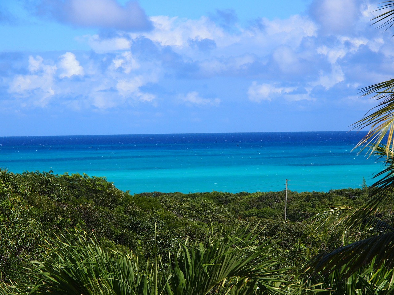 bahamas ocean paradise free photo