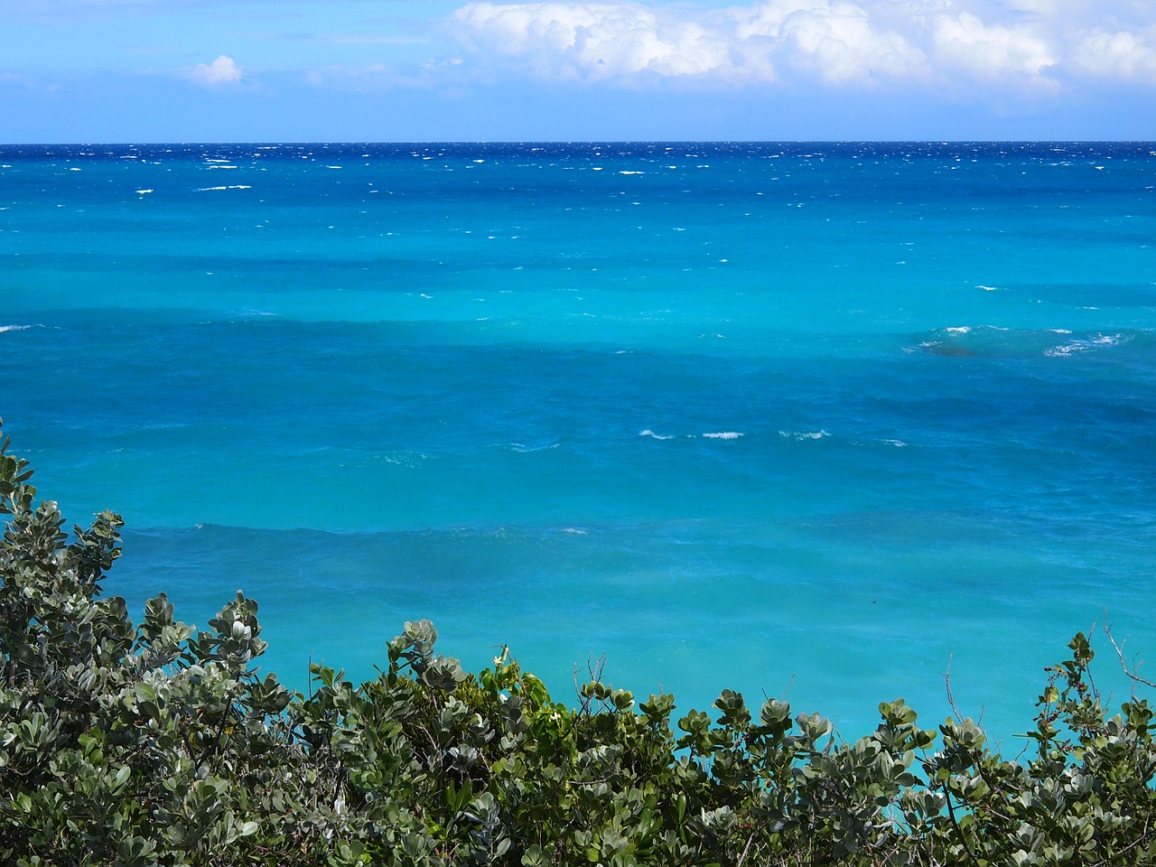 bahamas ocean exuma free photo