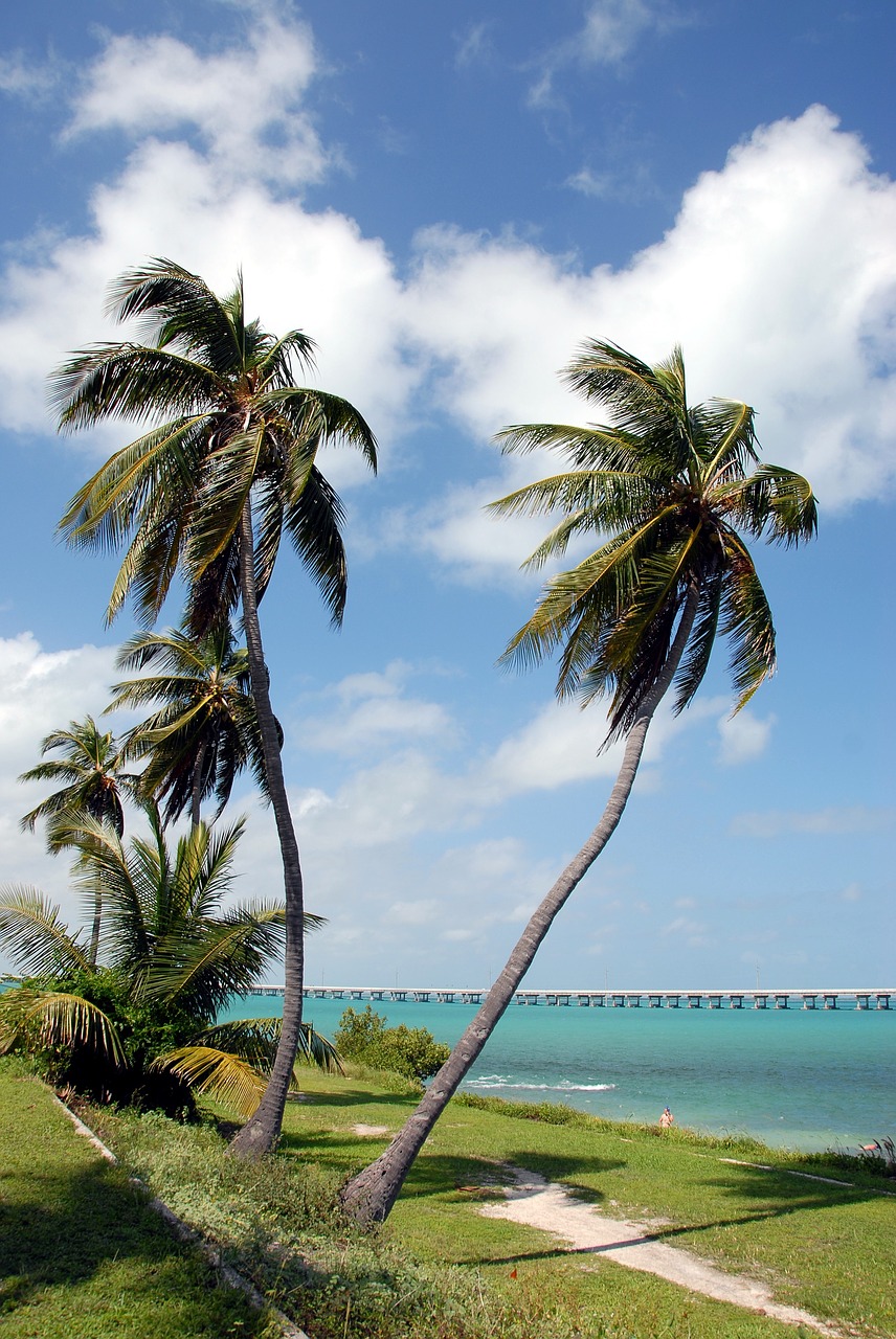 bahia honda state park florida keys seven mile bridge free photo