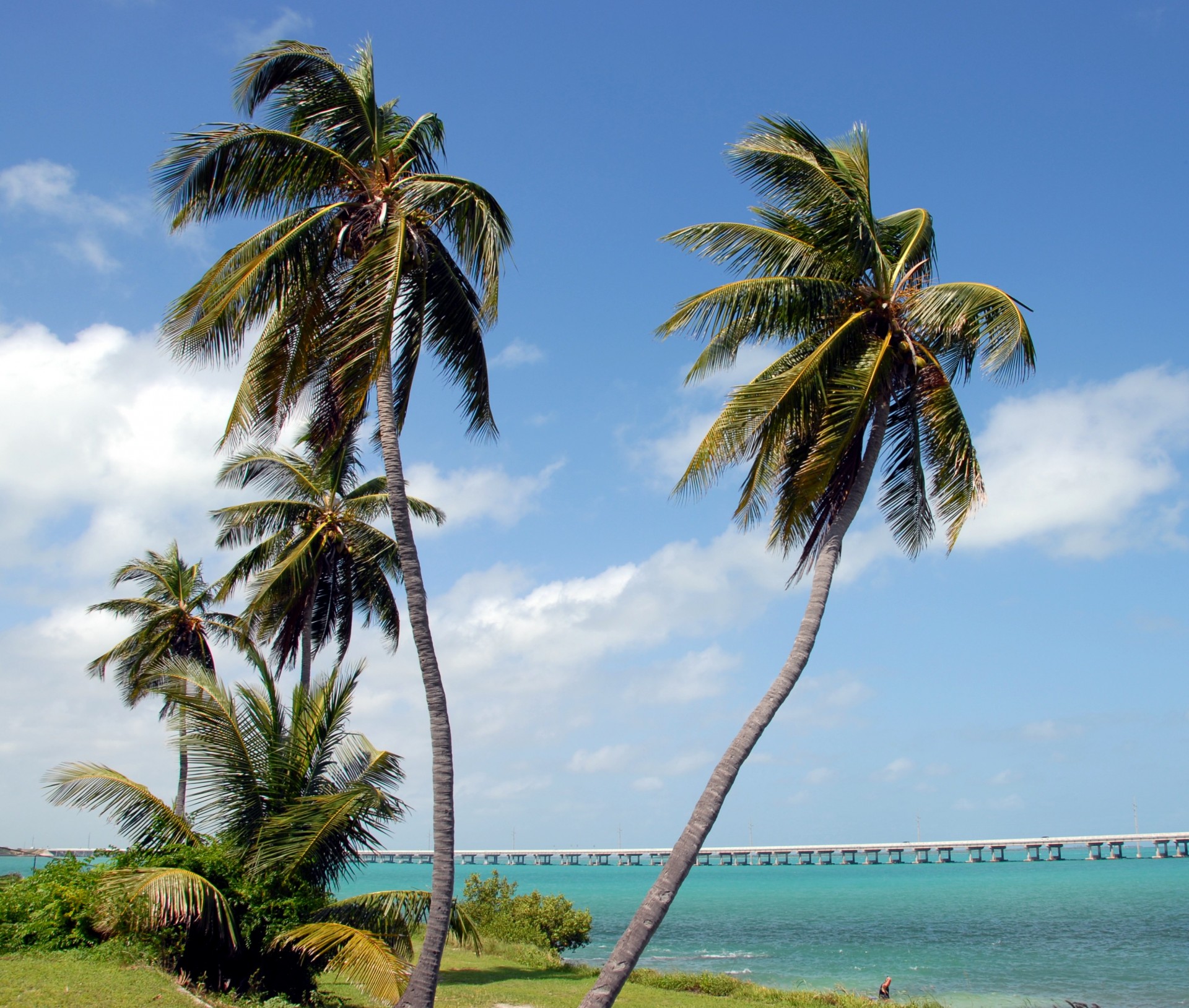 bahia honda state park key west free photo