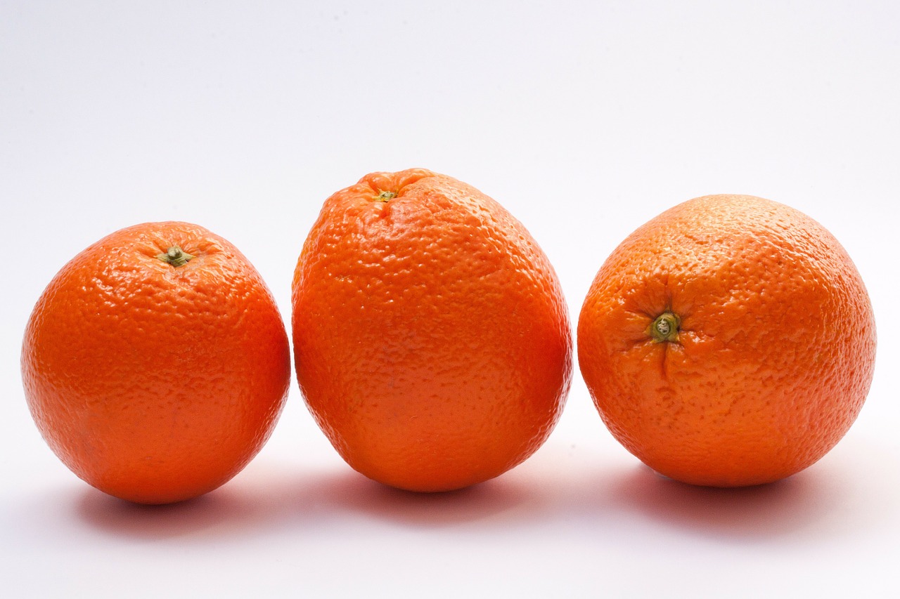 bahia orange oranges navel oranges free photo