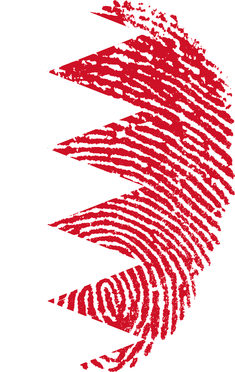 bahrain flag fingerprint free photo