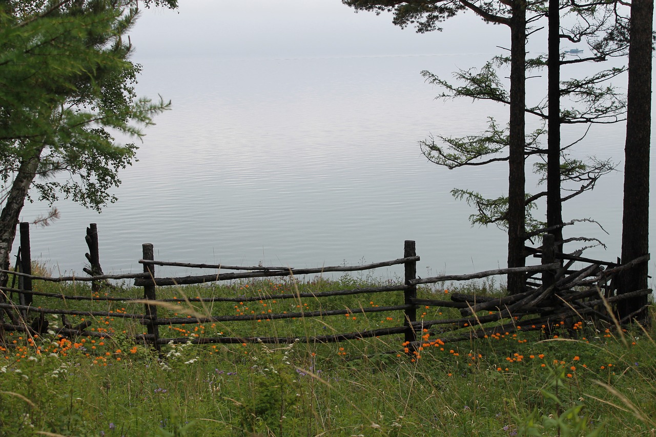 baikal summer in the baikal shore of baikal free photo