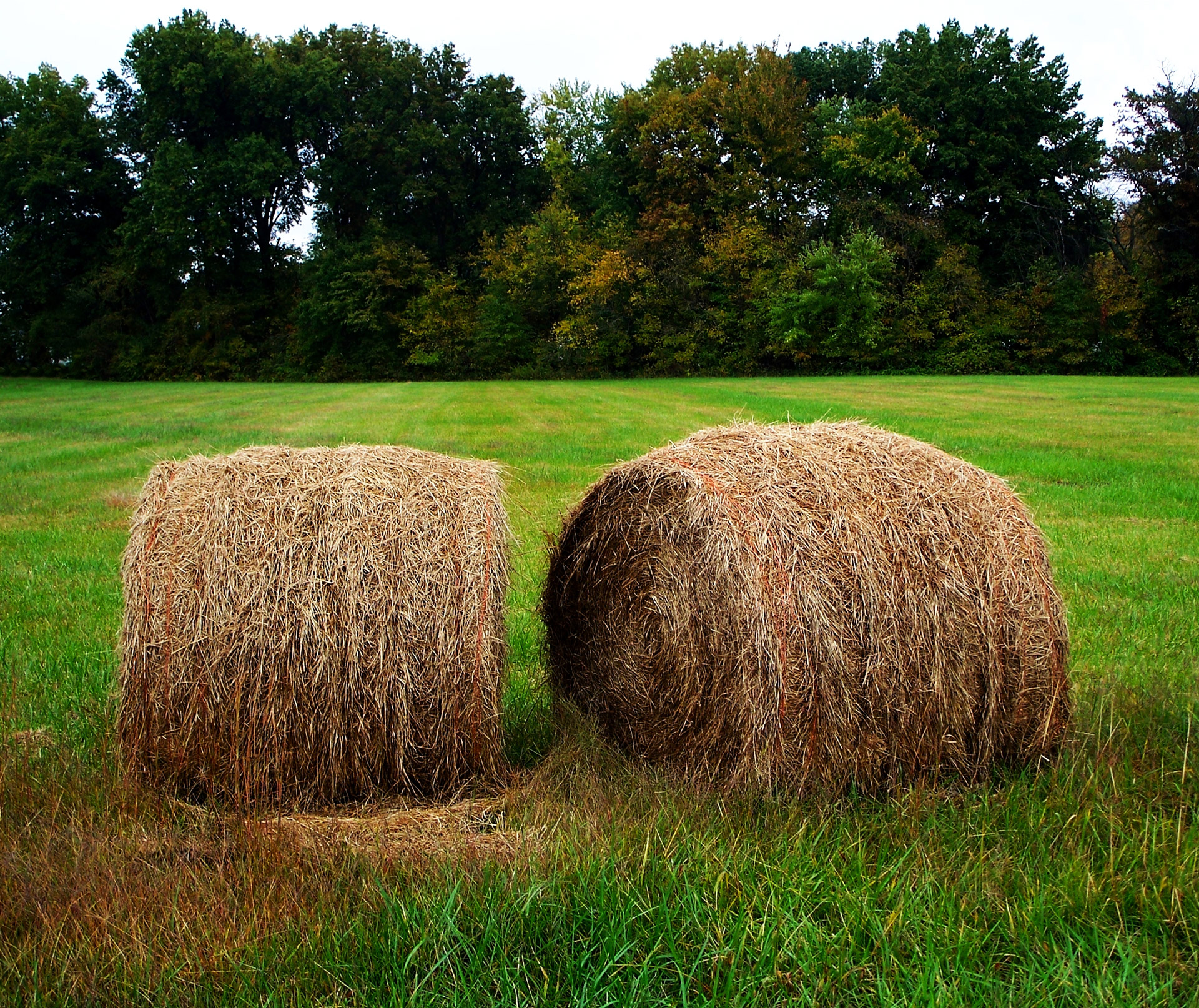 bails hay farm free photo