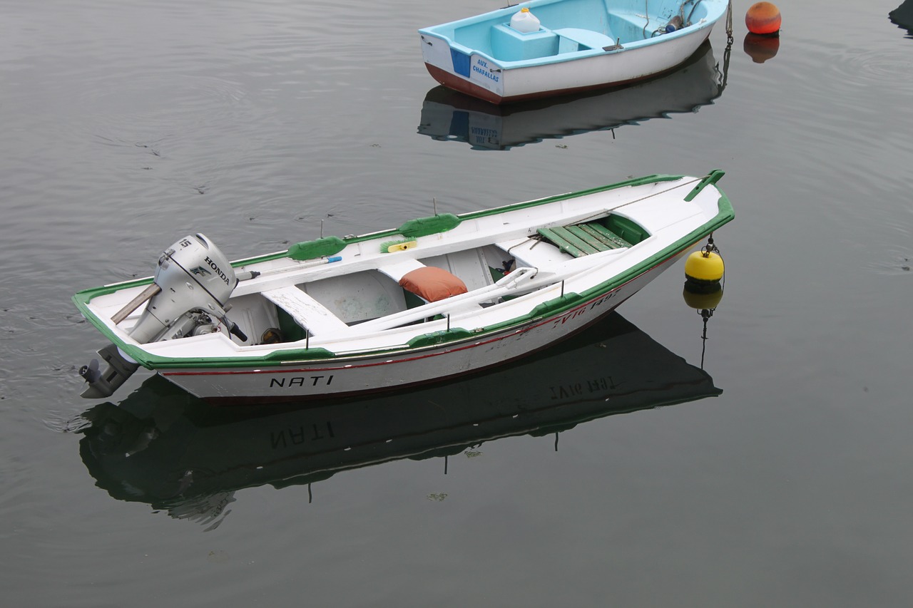 baiona boat rio free photo