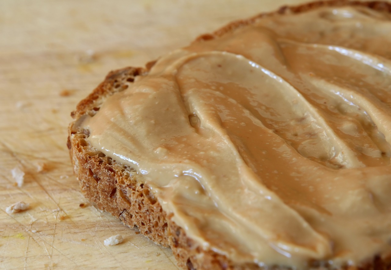 bake board bread free photo