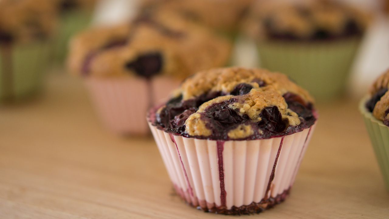 baked goods blueberry blueberry muffins free photo