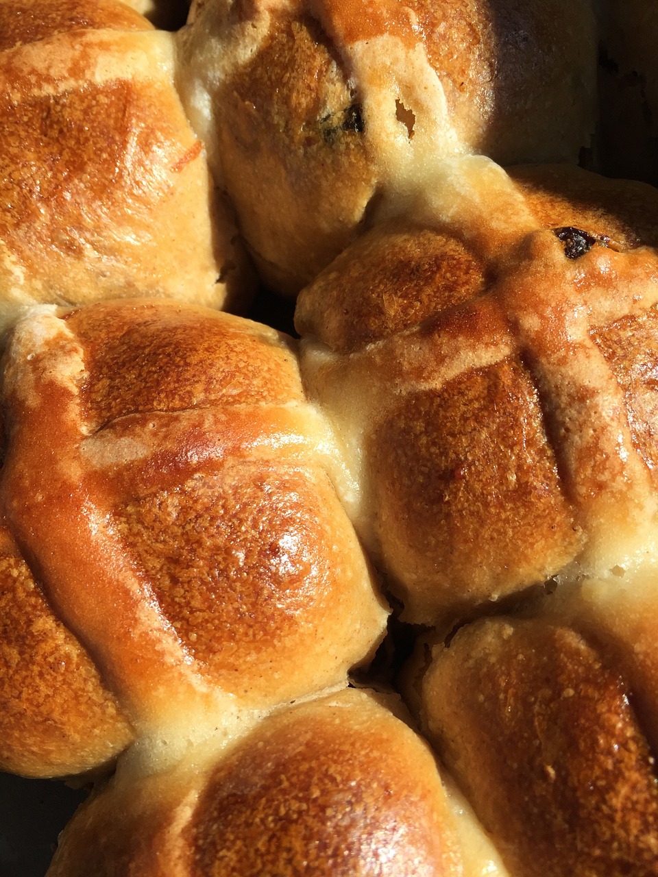 bakery hot cross buns buns free photo