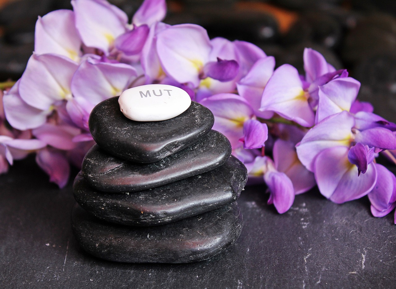 balance meditation stones free photo