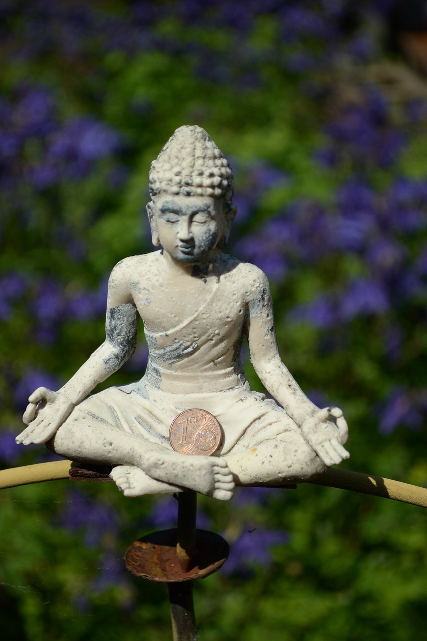 balance zen buddha free photo