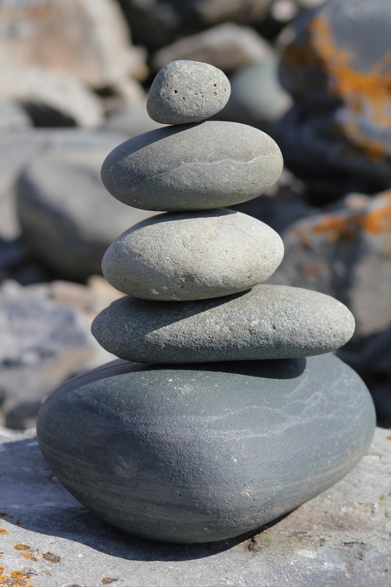 stones pebbles nature free photo