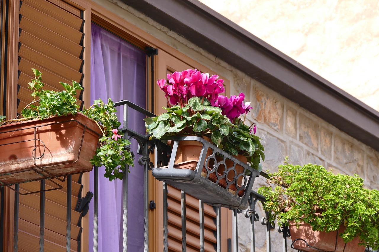 balcony flowers flower boxes free photo