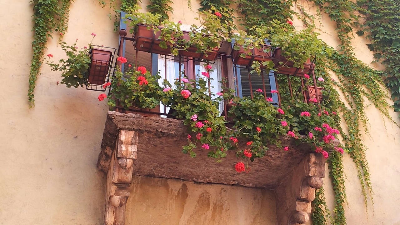 balcony flowers colorful free photo