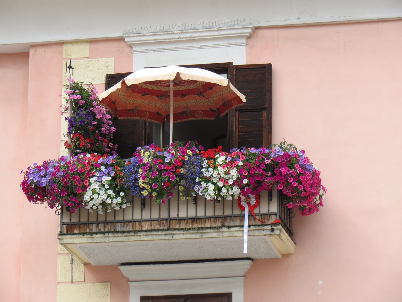 balcony flowers decorated door free photo
