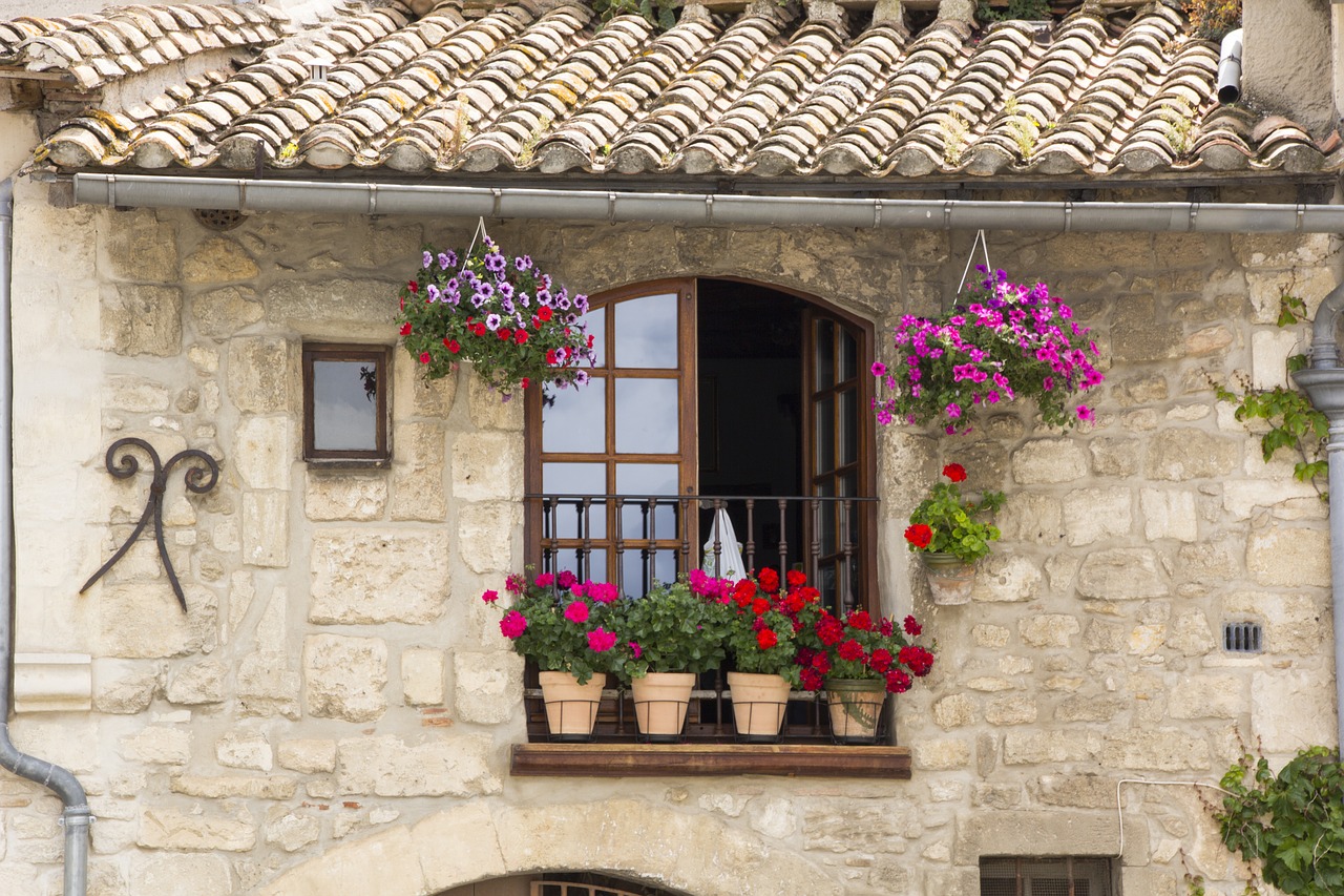 balcony flowers balcony plant free photo