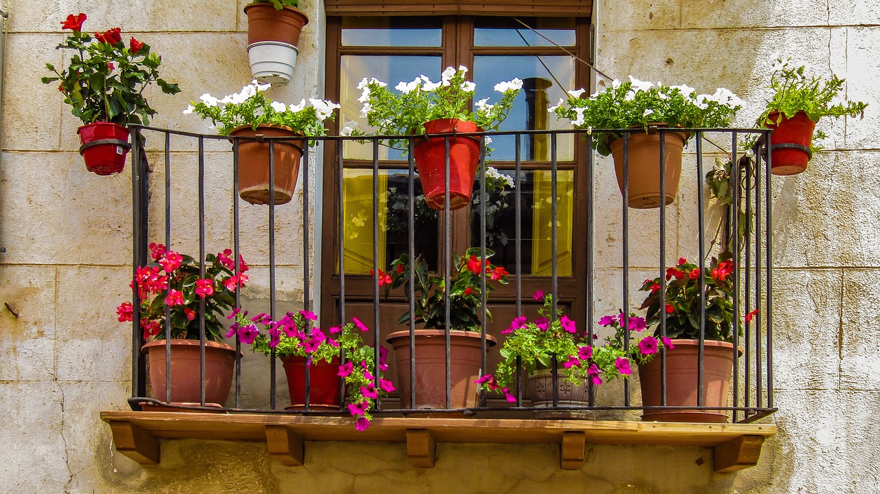 balcony  window  flowers free photo