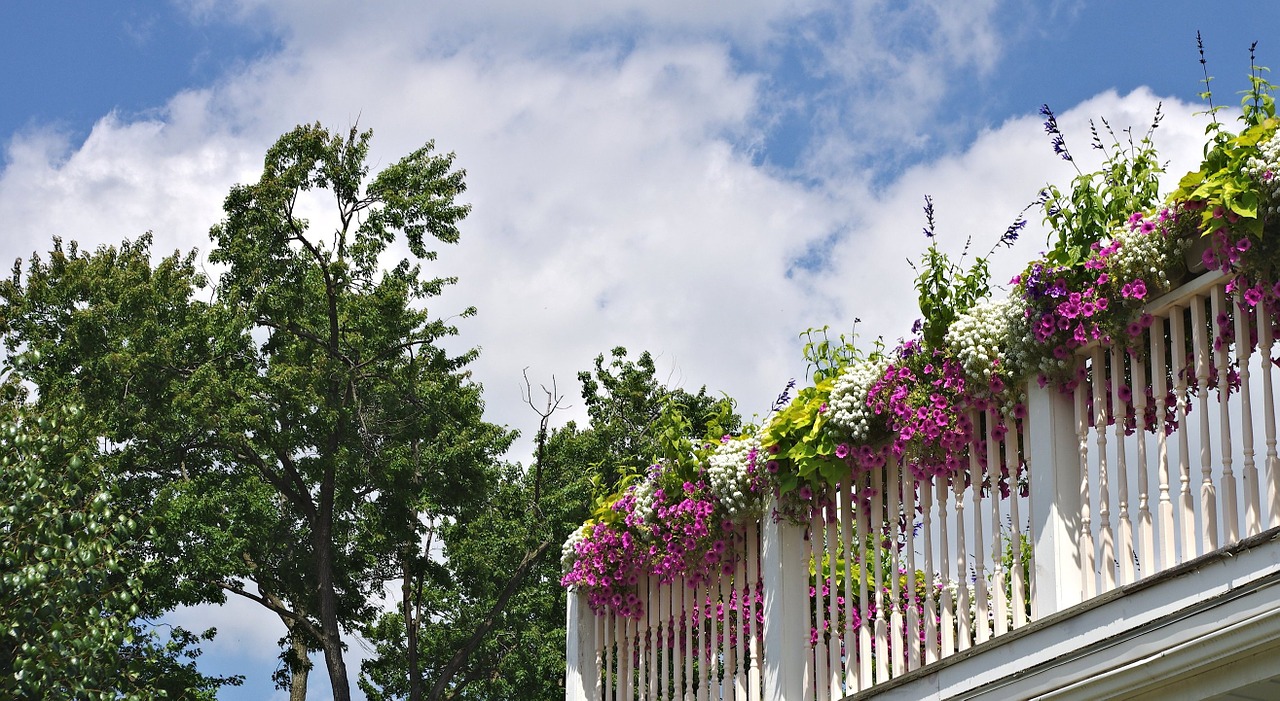 balcony flowers garden mid summer free photo