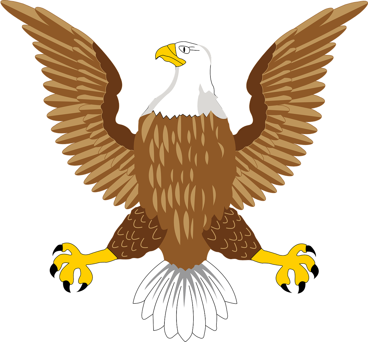 bald eagle national free photo