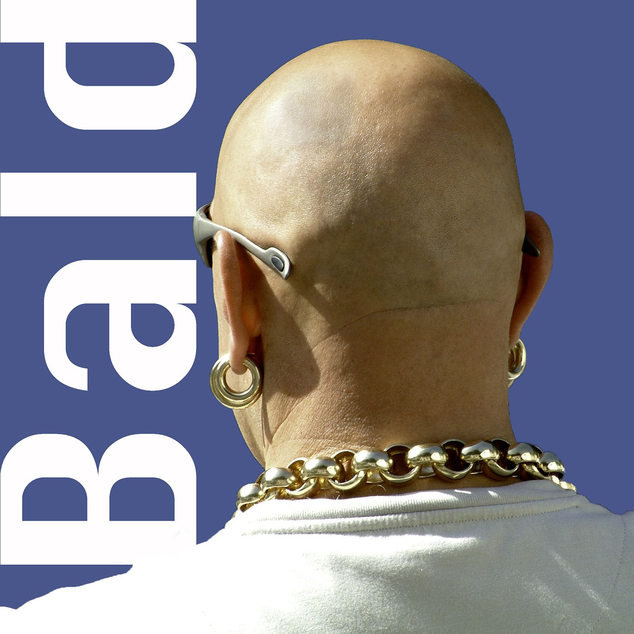 Bald,man,macho,earring,gold - free image from needpix.com