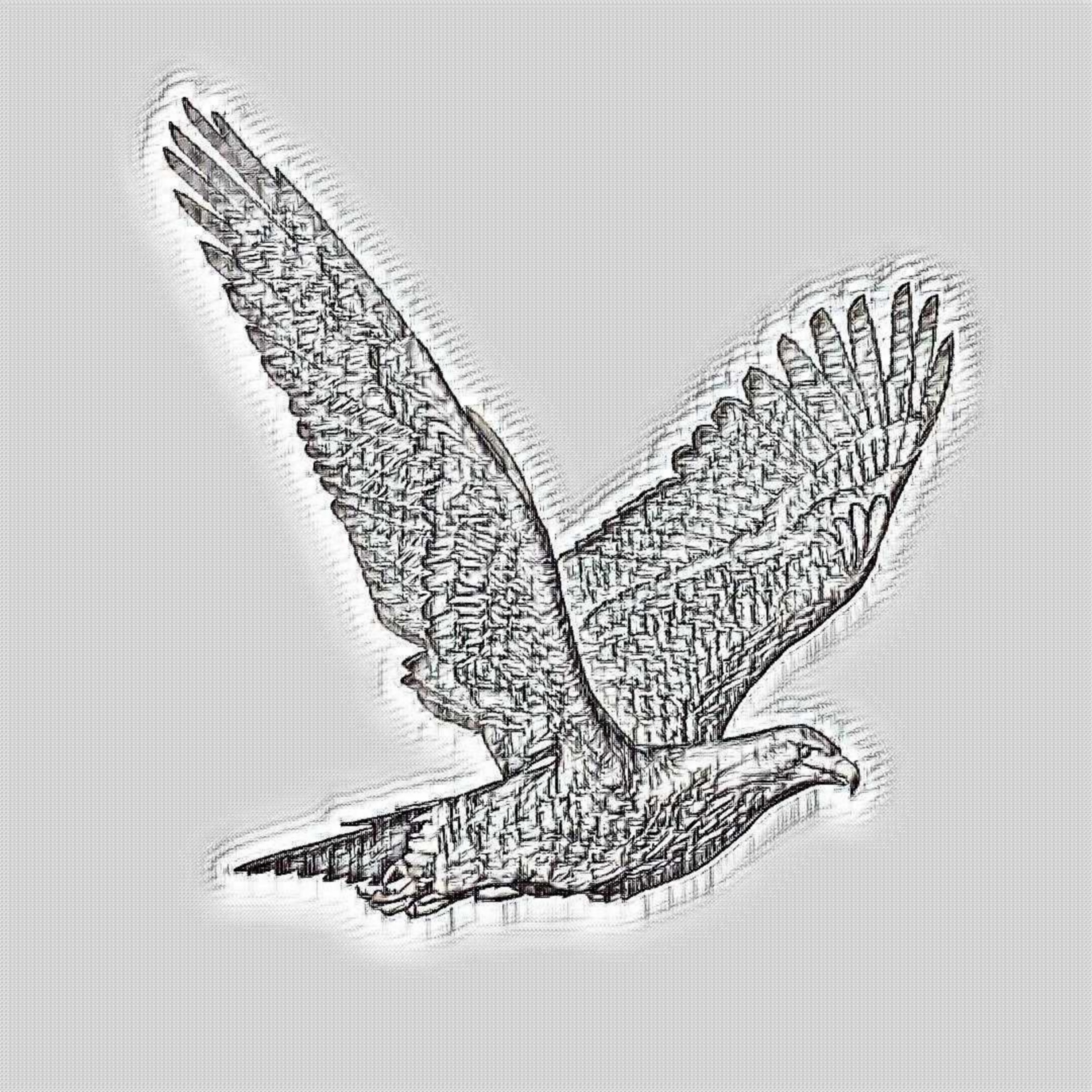 Flying Eagle by daniel depenbrok  ArtWantedcom