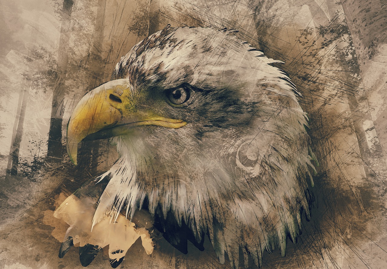 bald eagle hand drawn computer art free photo