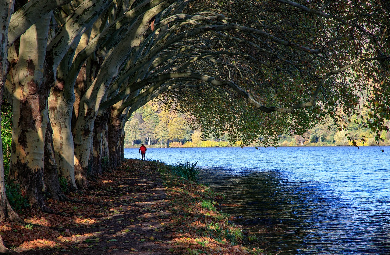 baldeneysee  eat  lake free photo