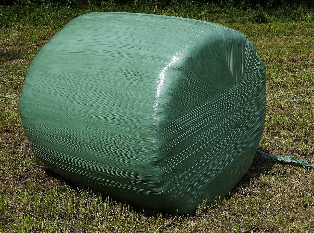 bale silage bales silage free photo