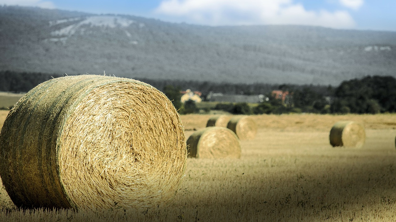 bale straw agriculture free photo