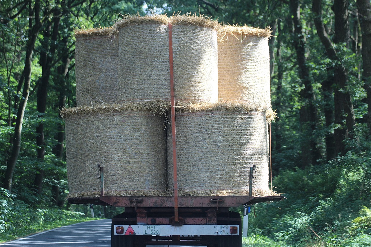 bale straw bales agriculture
