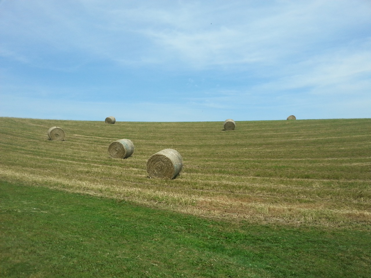 bale straw hay free photo