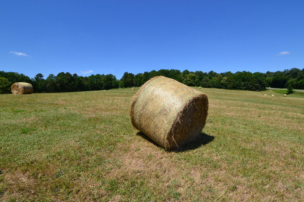 bale of hay fever boots hayfever free photo
