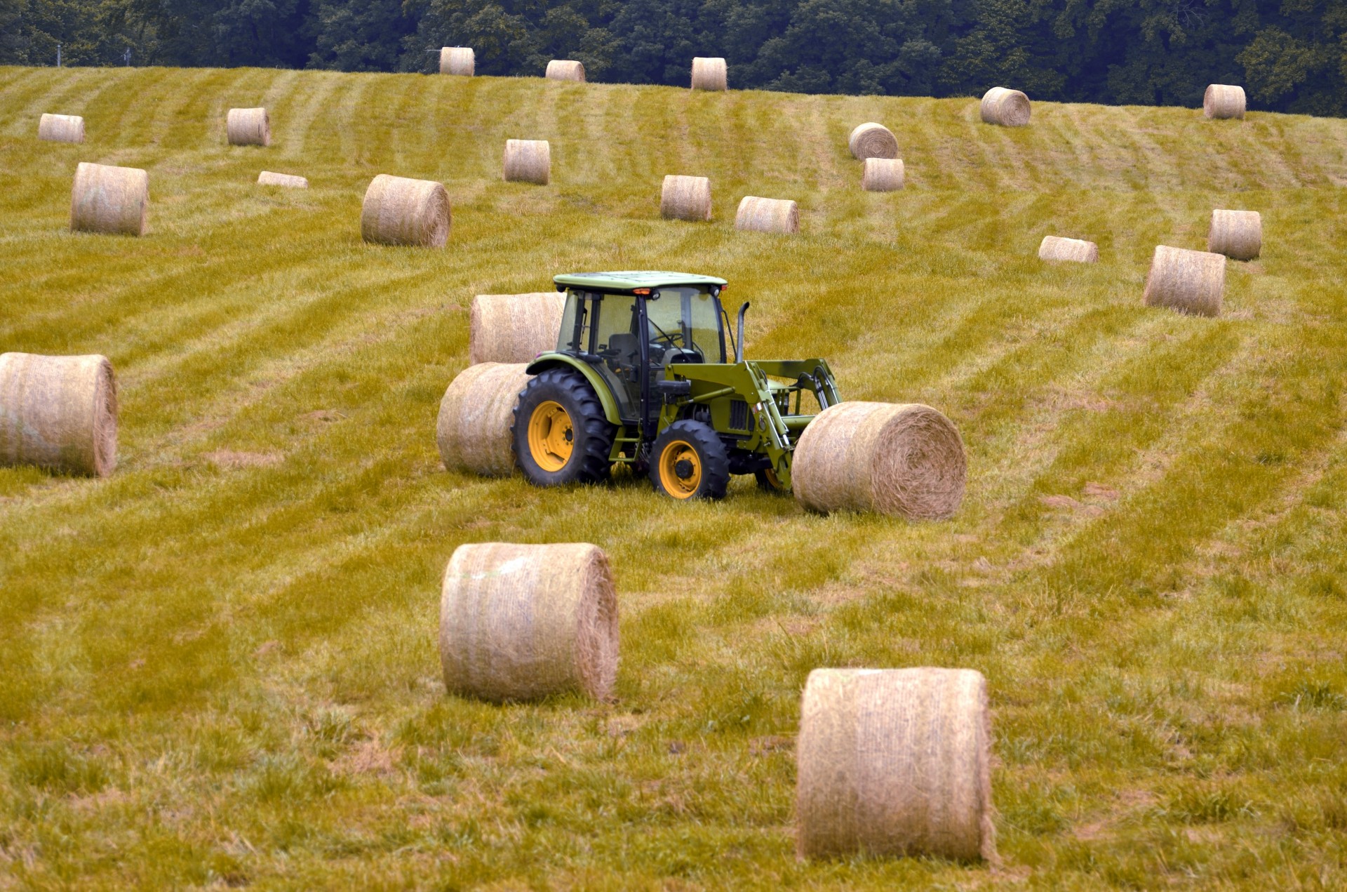 bales hay agriculture free photo