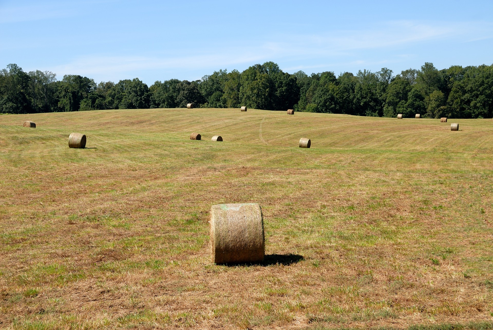 bales hay straw free photo