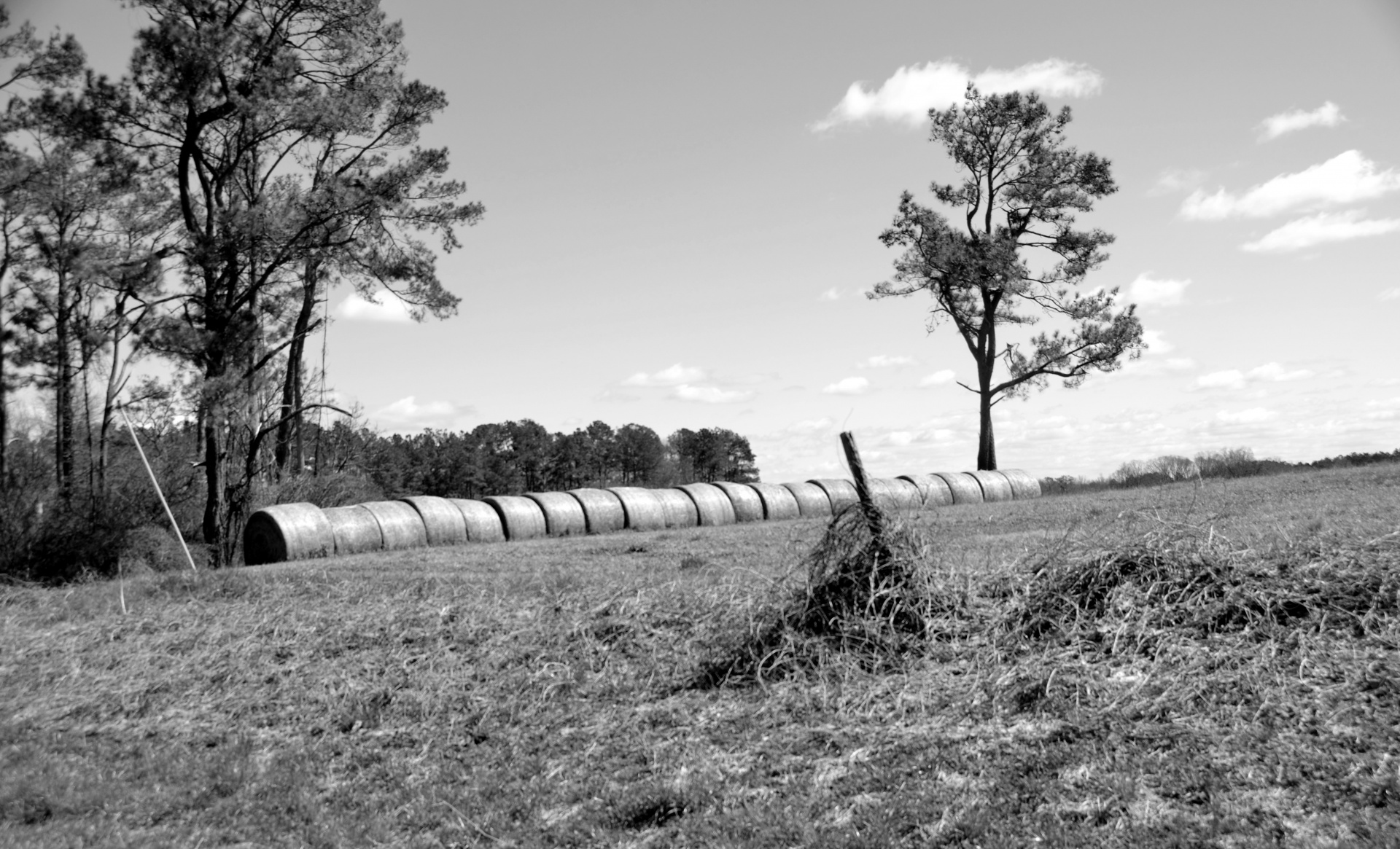 hay bales landscape free photo