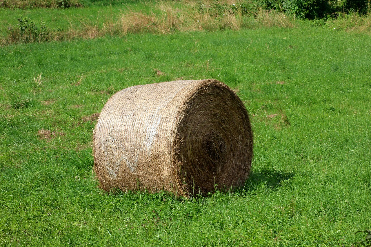 bales of hay  landscape  agriculture free photo