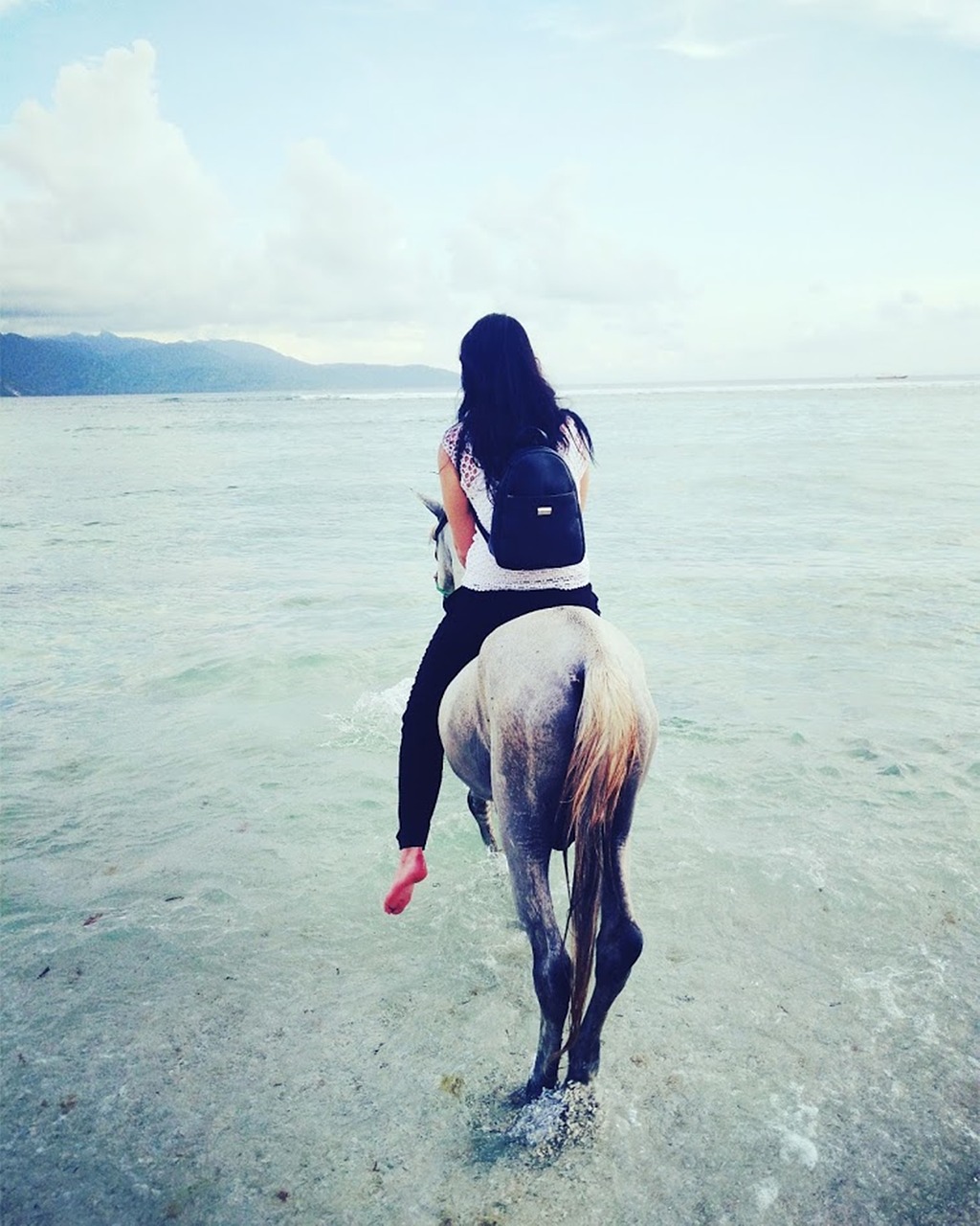 horse woman beach free photo