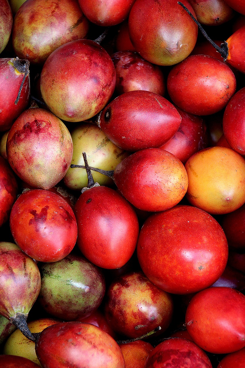 bali red fruit exotic fruits free photo