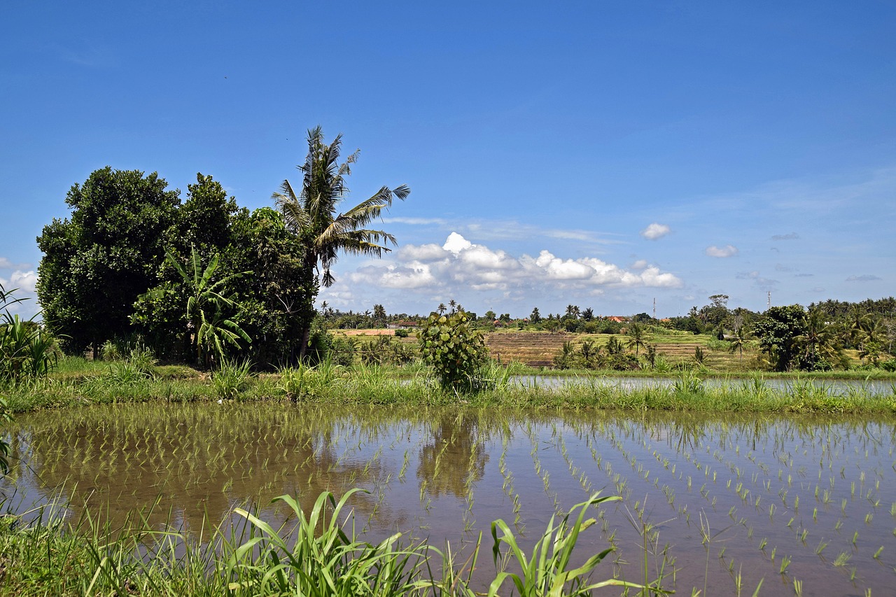 bali indonesia travel free photo