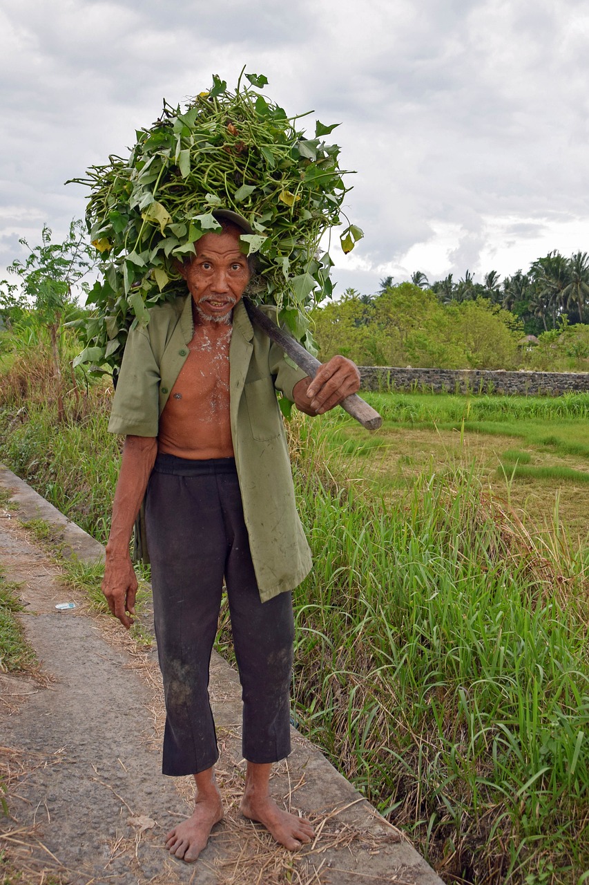 bali indonesia travel free photo