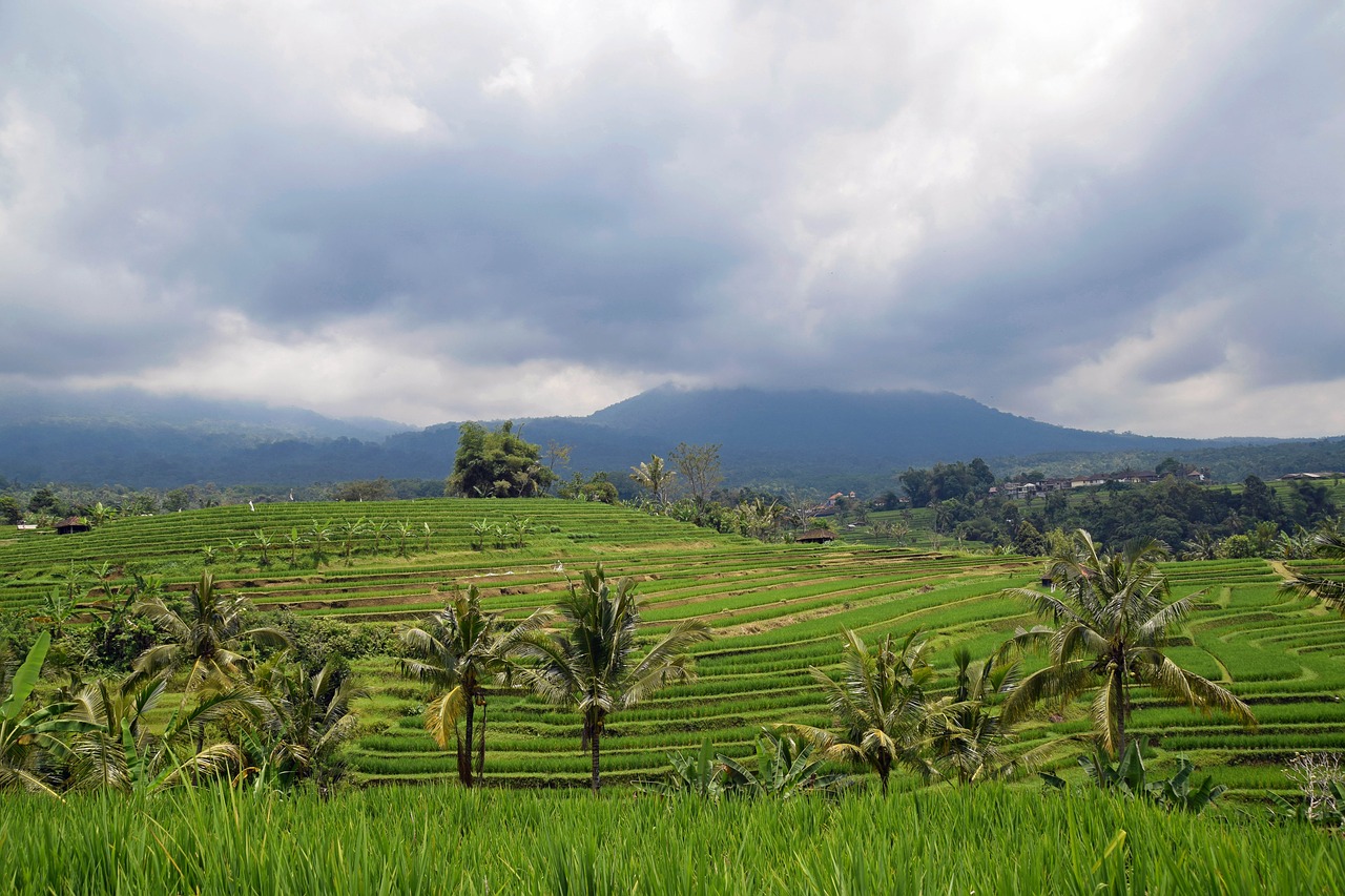 bali indonesia travel free photo