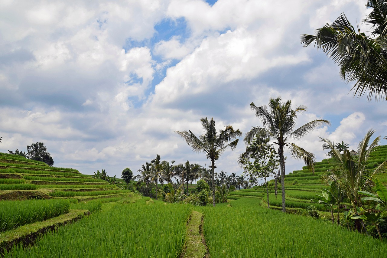 bali indonesia travel free photo