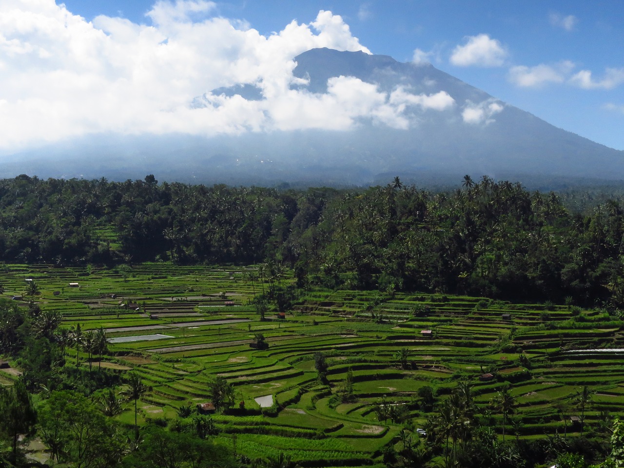 bali volcano rice fields free photo